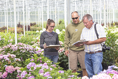 Growers in the research and development greenhouse