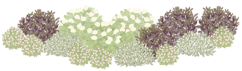 Illustration of a grouping of shrubs