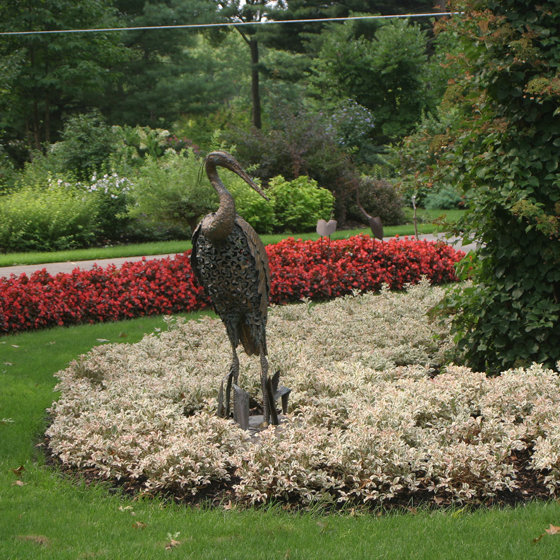 A mass planting of variegated My Monet weigela around a metal sculpture of a large bird
