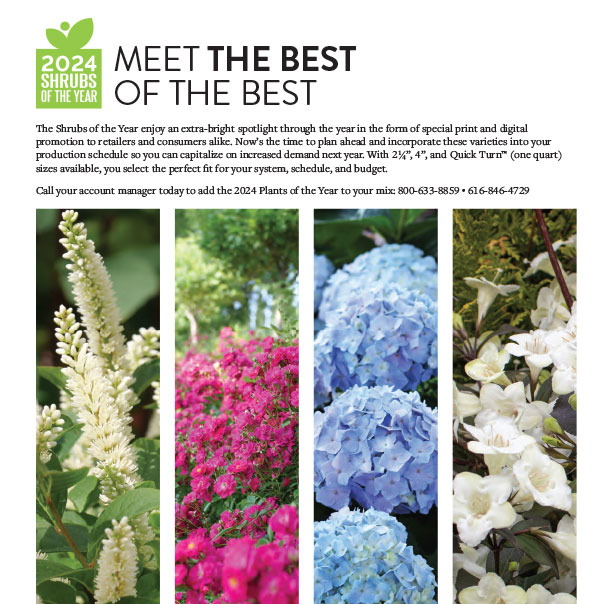 Preview of 2024 Shrubs of the Year Growing Book PDF
