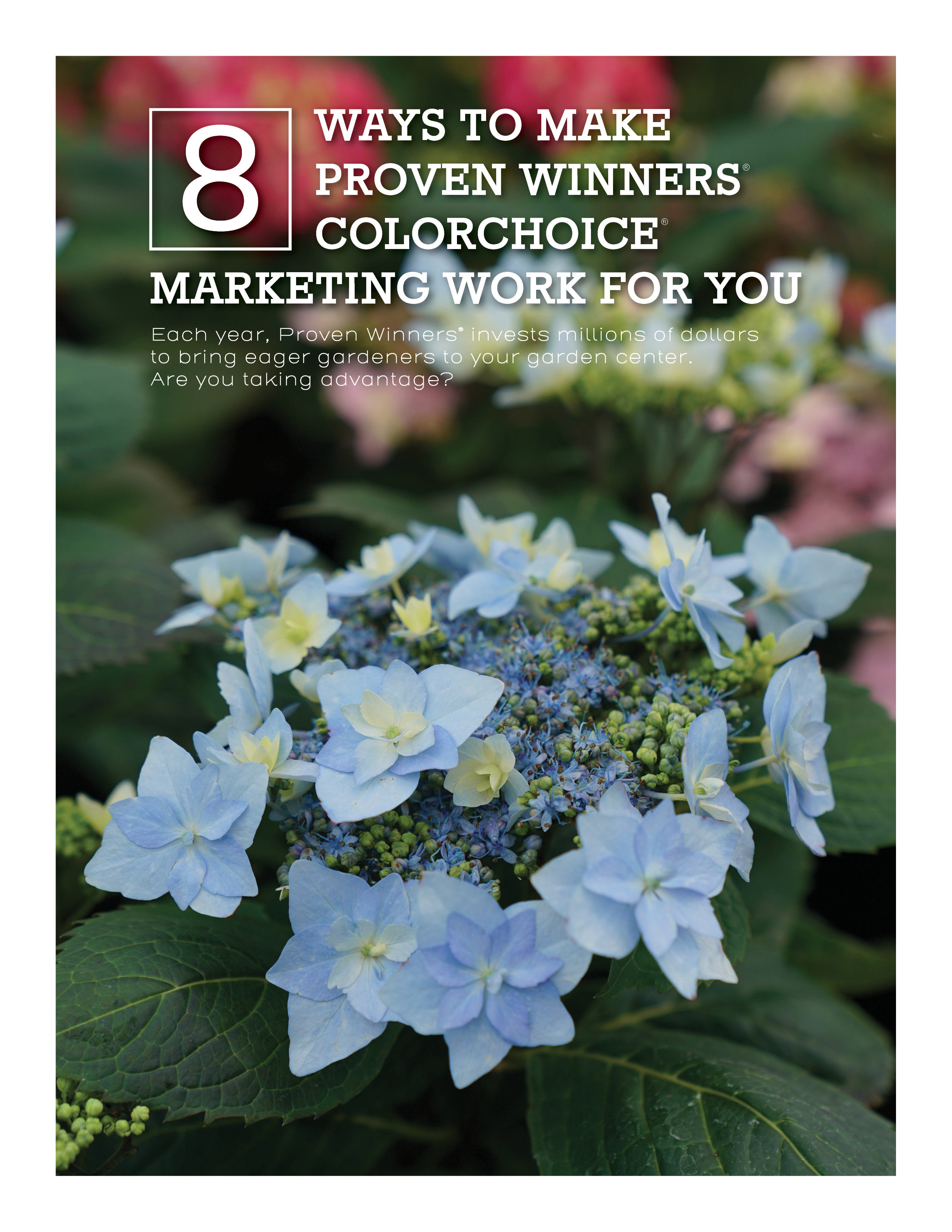 Preview of 8 Ways to Make Proven Winners Marketing Work for You 2020-2021 PDF