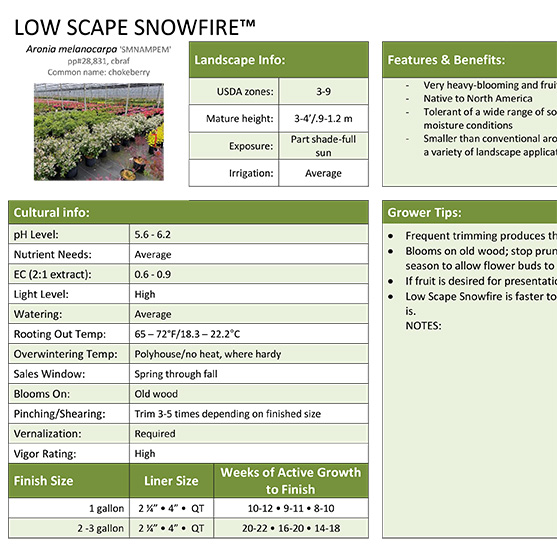 Preview of Low Scape Snowfire™ Aronia Grower Sheet PDF