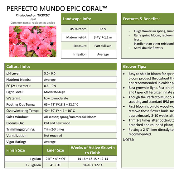 Preview of Perfecto Mundo Epic Coral™ Azalea Grower Sheet PDF