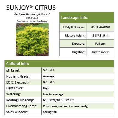 Preview of Sunjoy® Citrus Berberis grower sheet PDF