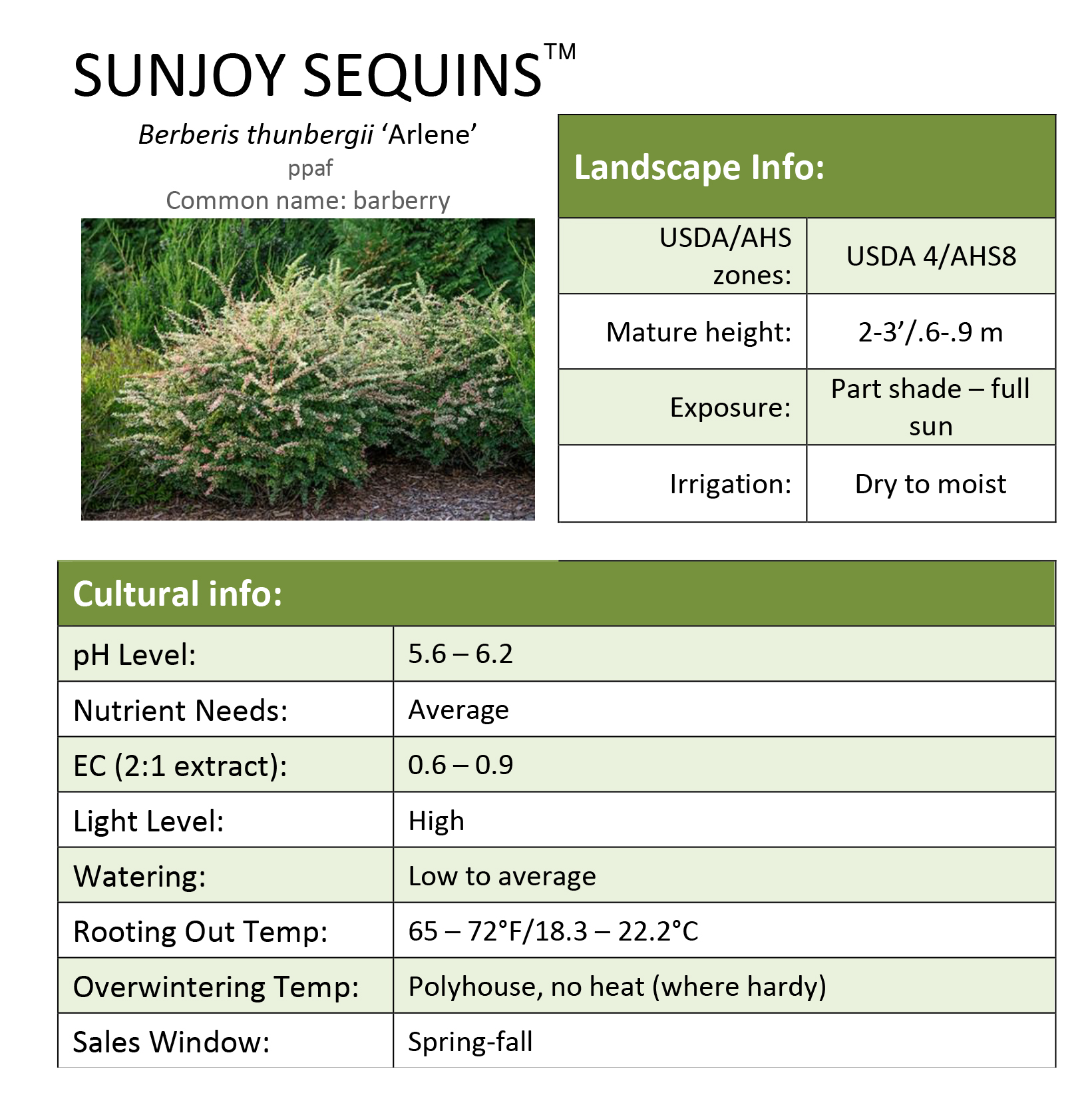 Preview of Sunjoy Sequins® Berberis Grower Sheet PDF