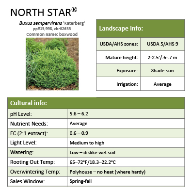 Preview of North Star® Buxus grower sheet PDF