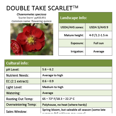 Preview of Double Take Scarlet™ Chaenomeles grower sheet PDF