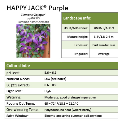 Preview of Happy Jack® Purple Clematis PDF