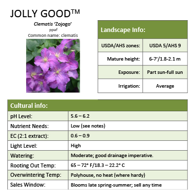 Preview of Jolly Good™ Clematis grower sheet PDF