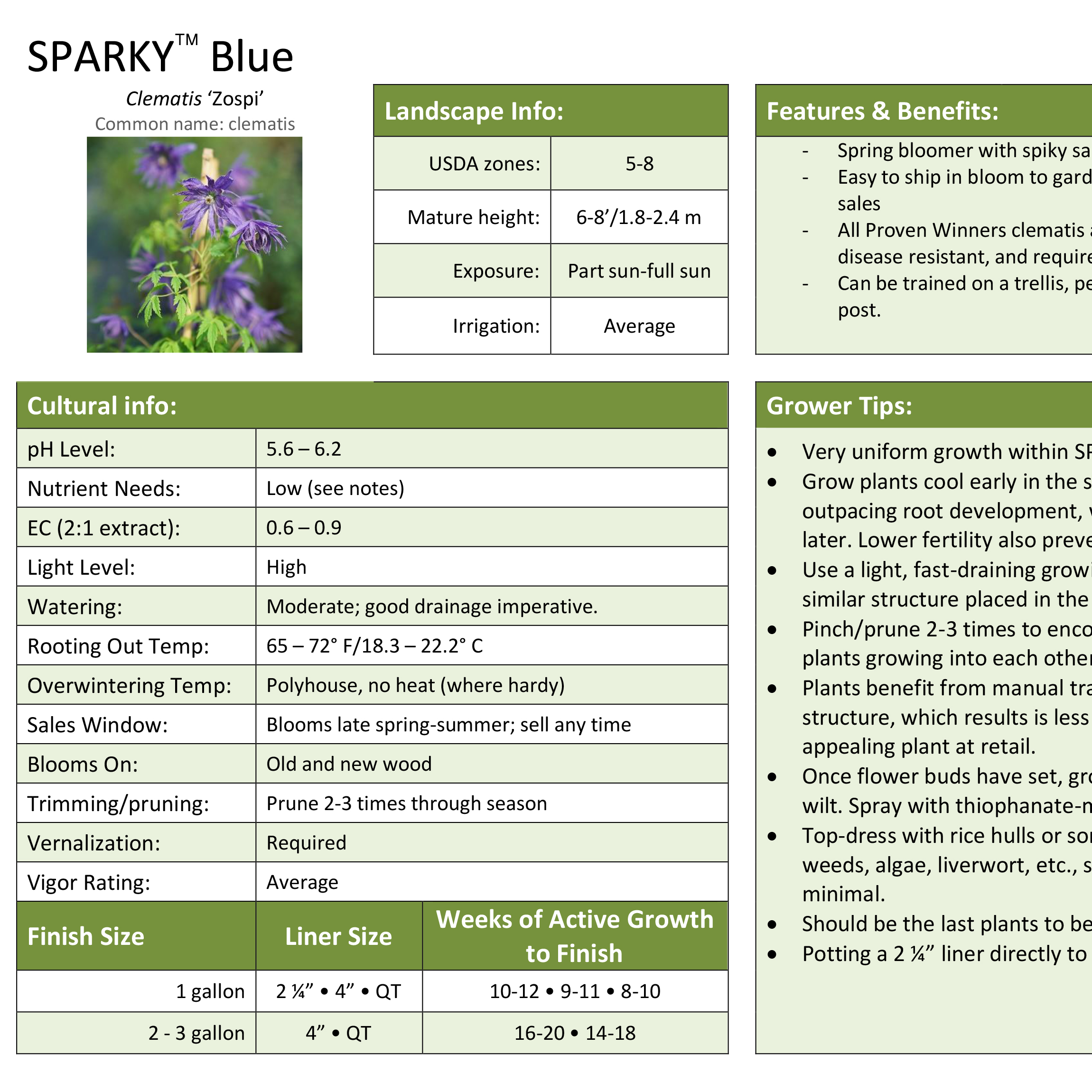 Preview of Sparky® Blue Clematis Grower Sheet PDF