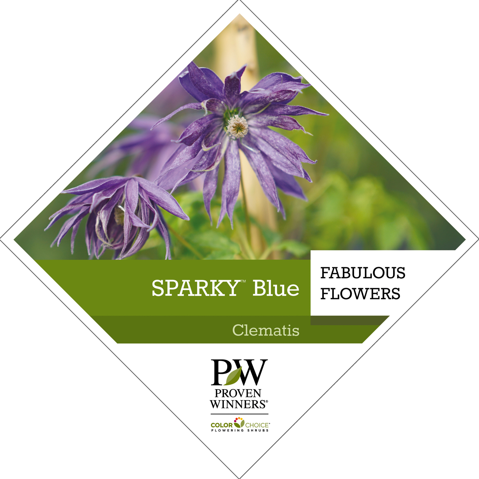 Preview of Sparky® Blue Clematis tag PDF