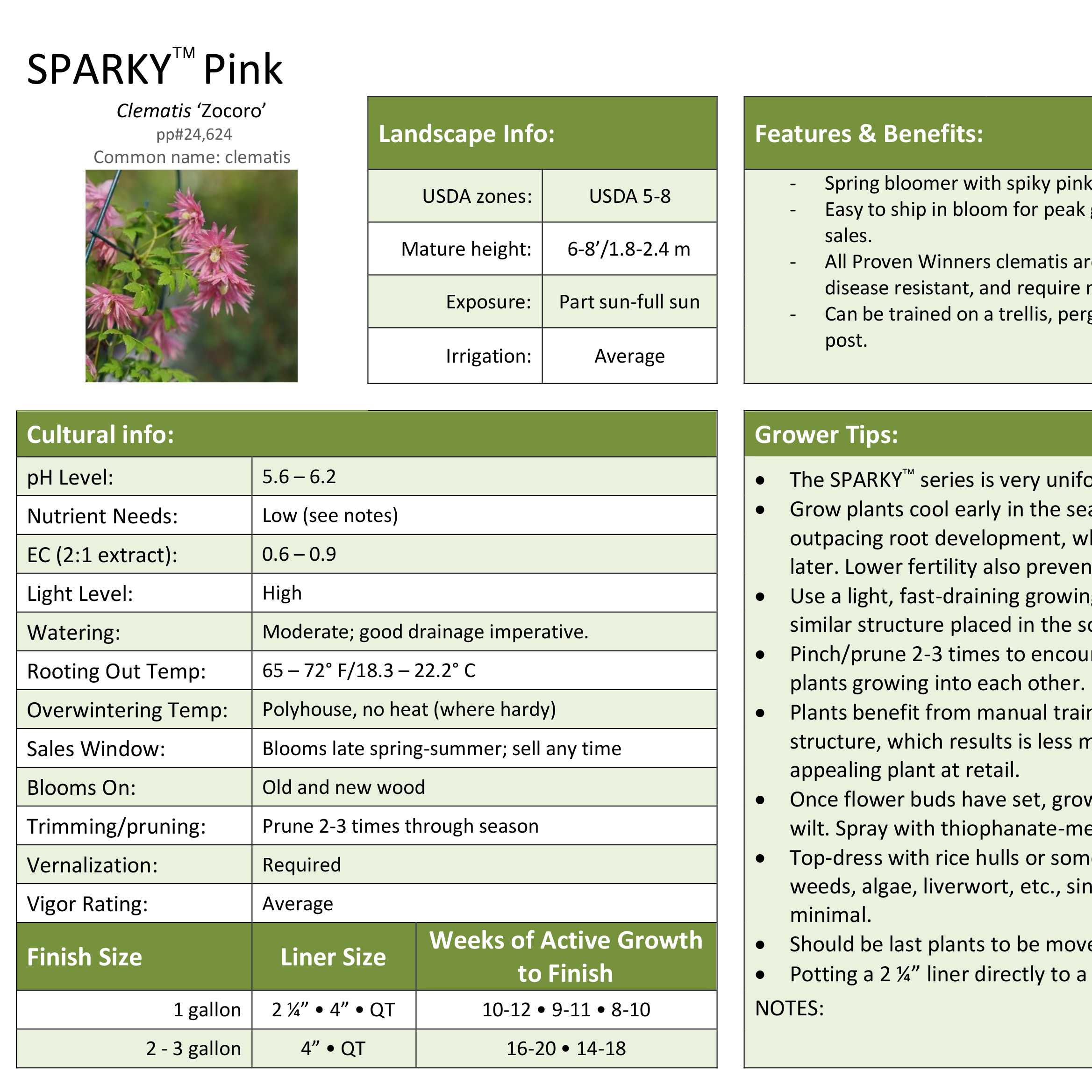 Preview of Sparky® Pink Clematis Grower Sheet PDF