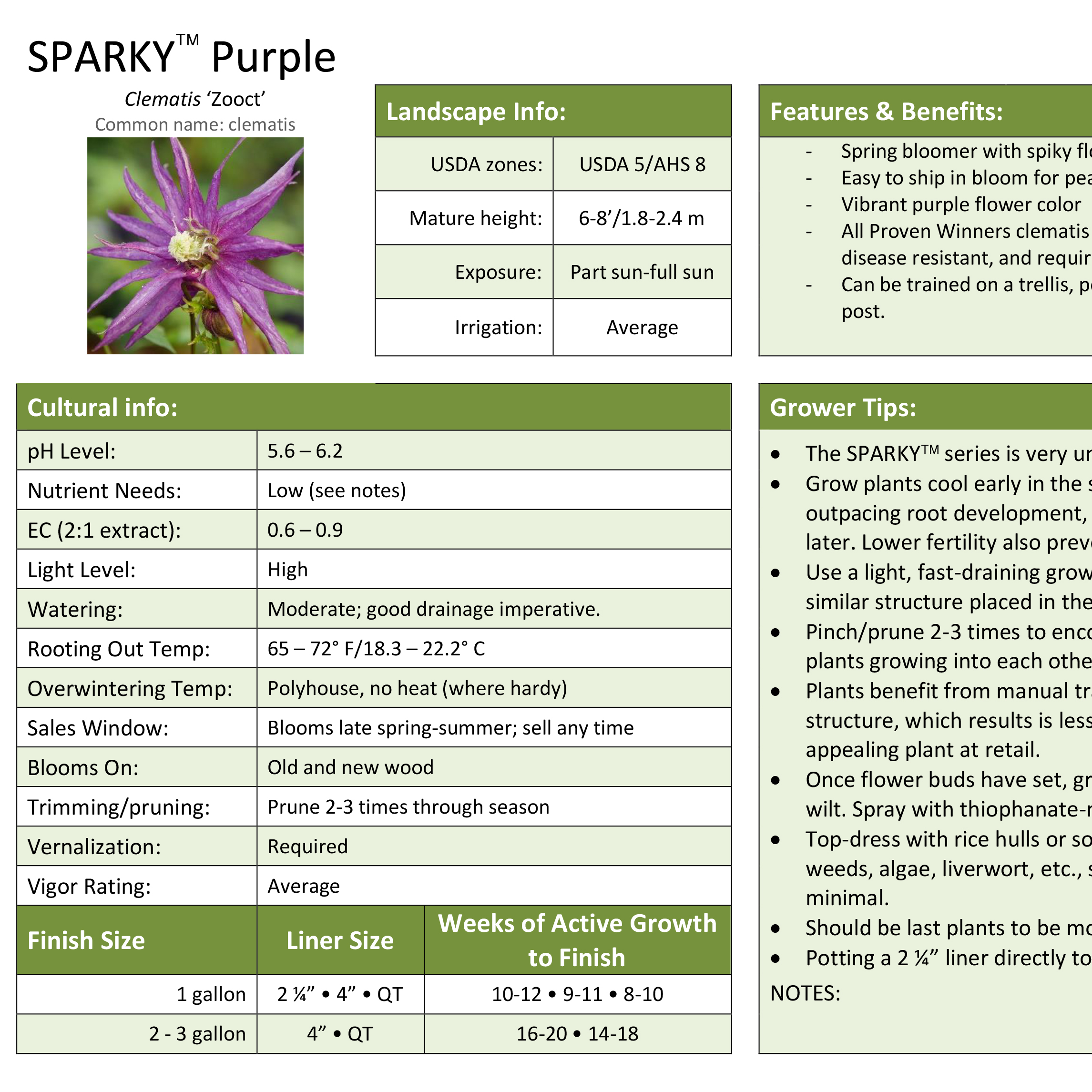 Preview of Sparky® Purple Clematis Grower Sheet PDF
