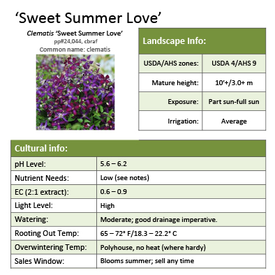 Preview of ‘Sweet Summer Love’ Clematis grower sheet PDF