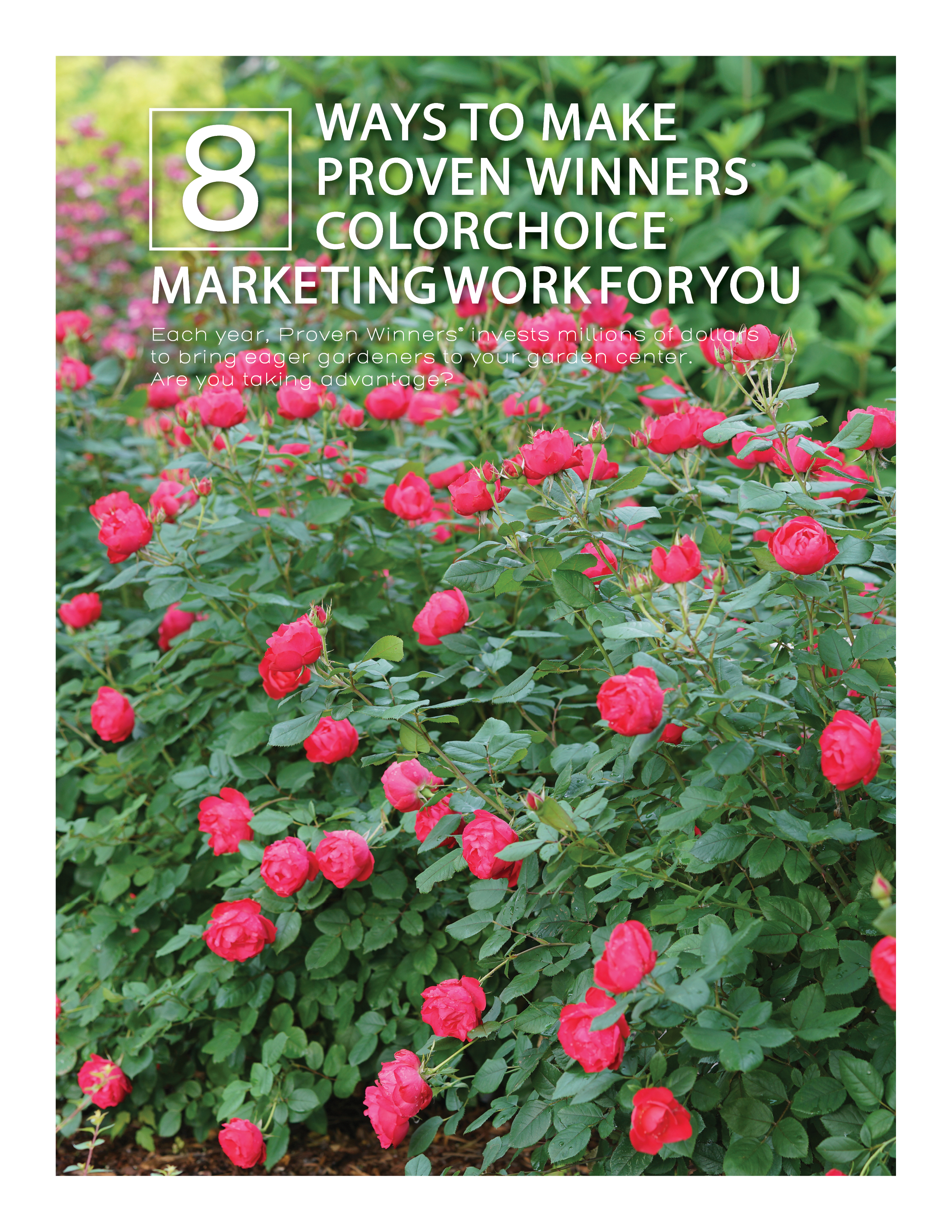 Preview of 8 Ways to Make Proven Winners Marketing Work for You 2019-2020 PDF