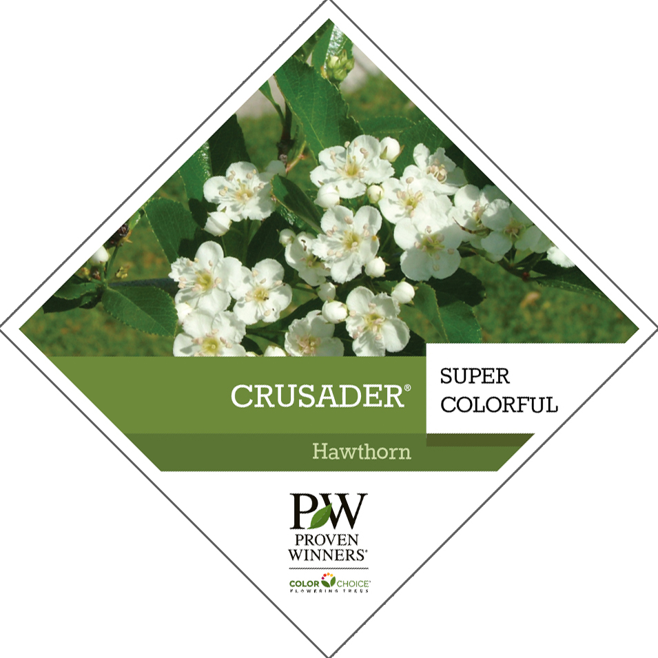 Preview of Crusader® Crataegus Tag PDF