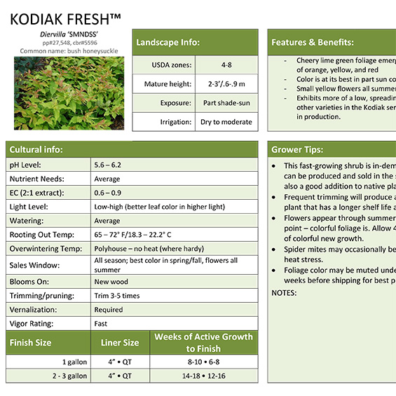 Preview of Kodiak Fresh™ Diervilla Grower Sheet PDF