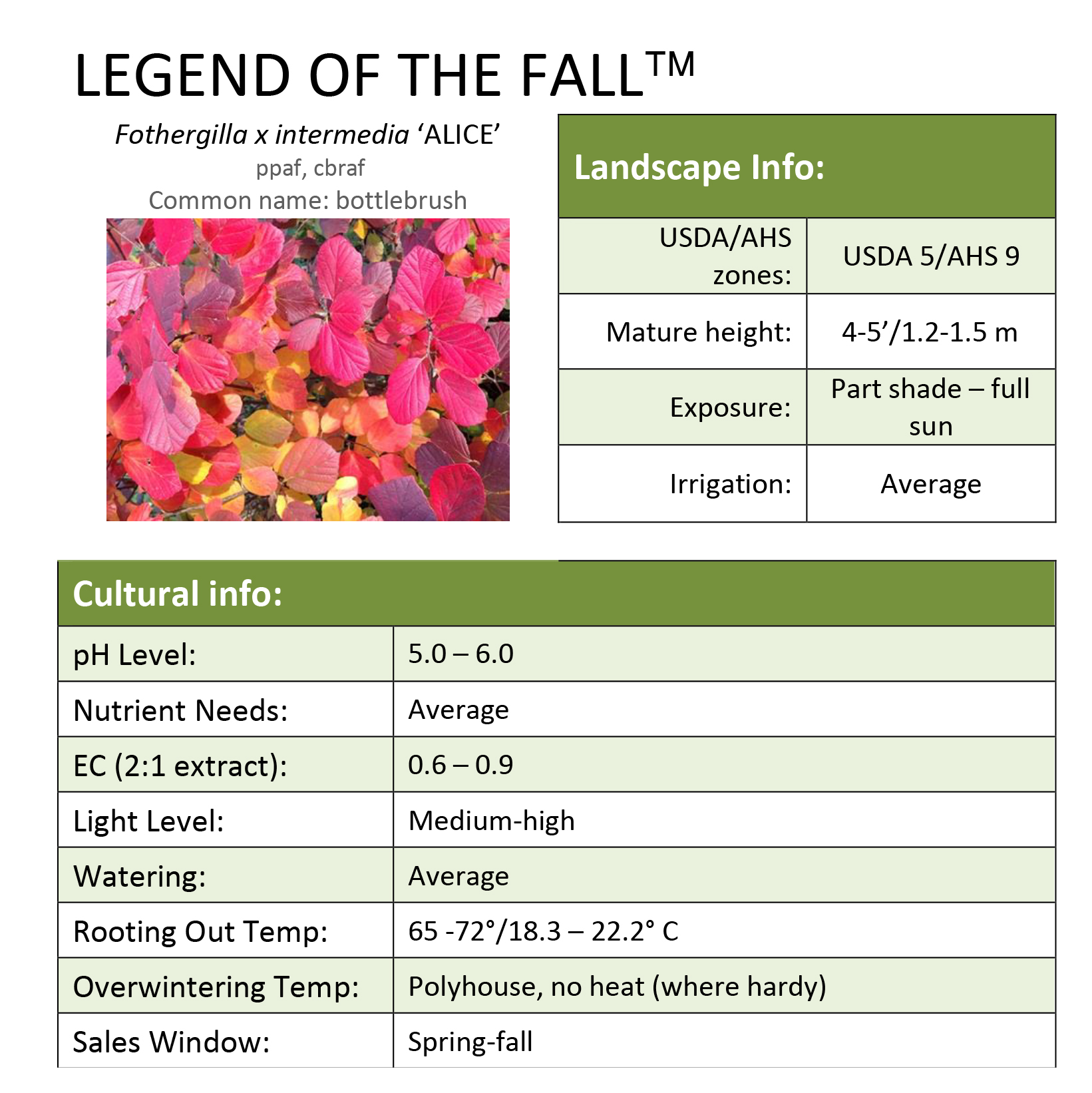Preview of Legend of the Fall® Fothergilla Grower Sheet PDF
