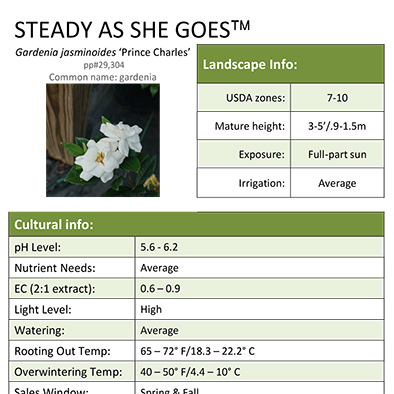Preview of Steady As She Goes™ Gardenia Grower Sheet PDF
