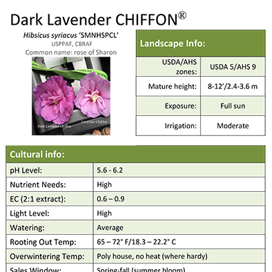 Preview of Dark Lavender Chiffon® Hibiscus Grower Sheet PDF