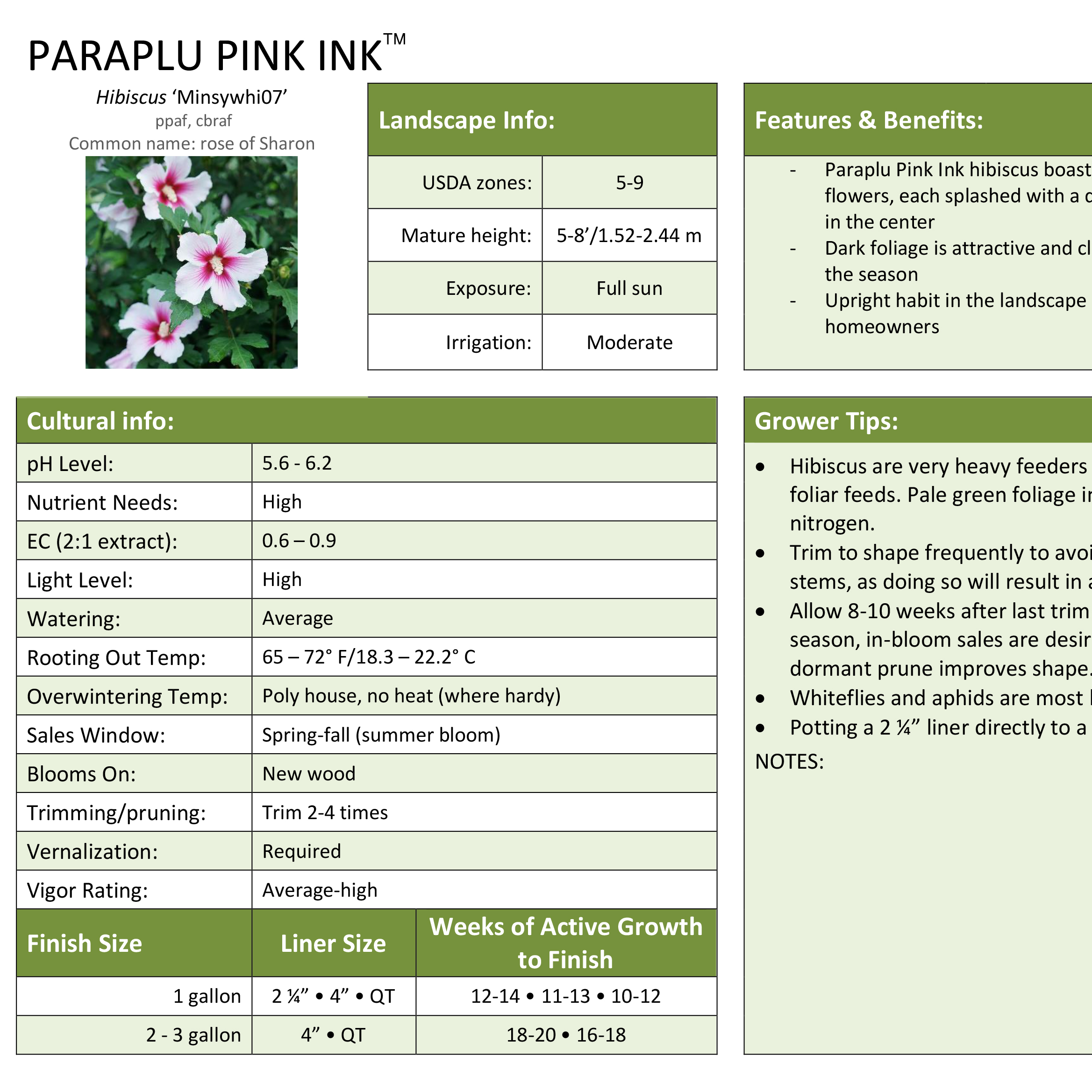 Preview of Paraplu Pink Ink® Hibiscus Professional Grower Sheet PDF