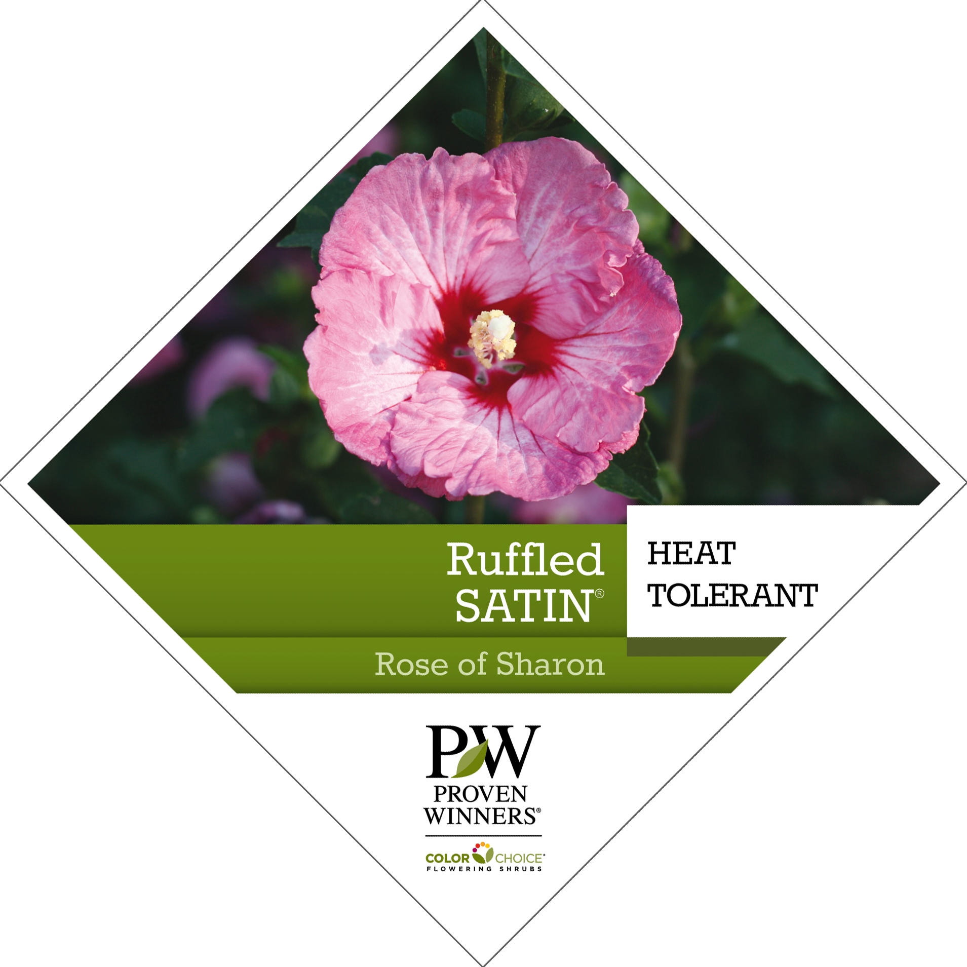 Preview of Ruffled Satin® Hibiscus PDF