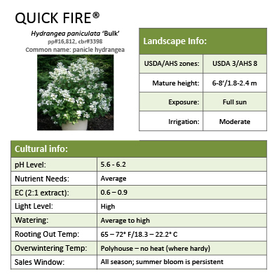 Preview of Quick Fire® Hydrangea Grower Sheet PDF