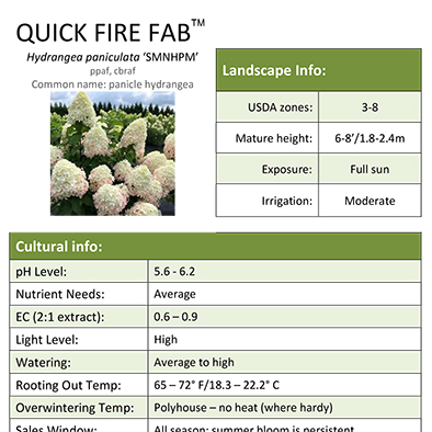 Preview of Quick Fire Fab® Hydrangea Grower Sheet PDF
