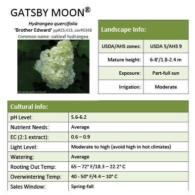 Preview of Gatsby Moon® Hydrangea Grower Sheet PDF