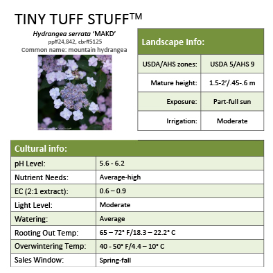 Preview of Tiny Tuff Stuff™ Hydrangea Grower Sheet PDF
