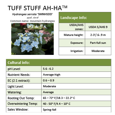Preview of Tuff Stuff Ah-Ha® Hydrangea Grower Sheet PDF