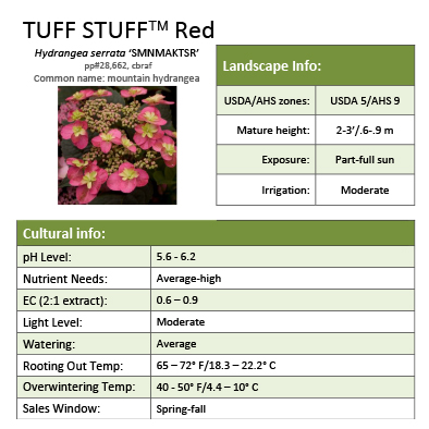 Preview of Tuff Stuff™ Red Hydrangea Grower Sheet PDF