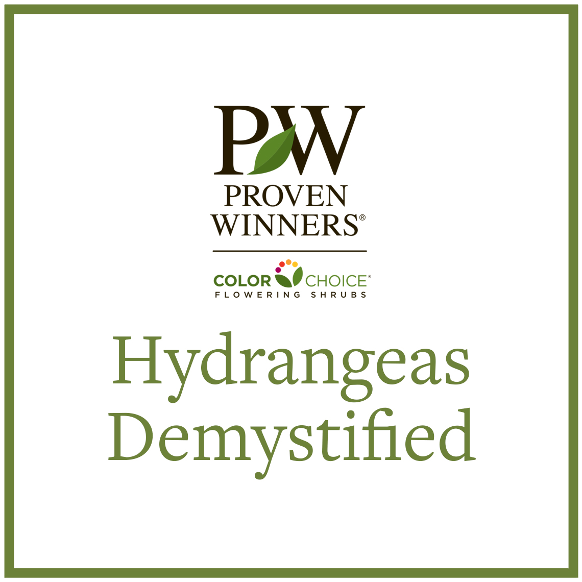 Preview of Hydrangeas Demystified PDF