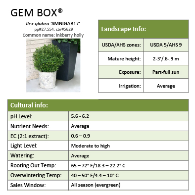 Preview of Gem Box® Ilex Grower Sheet PDF