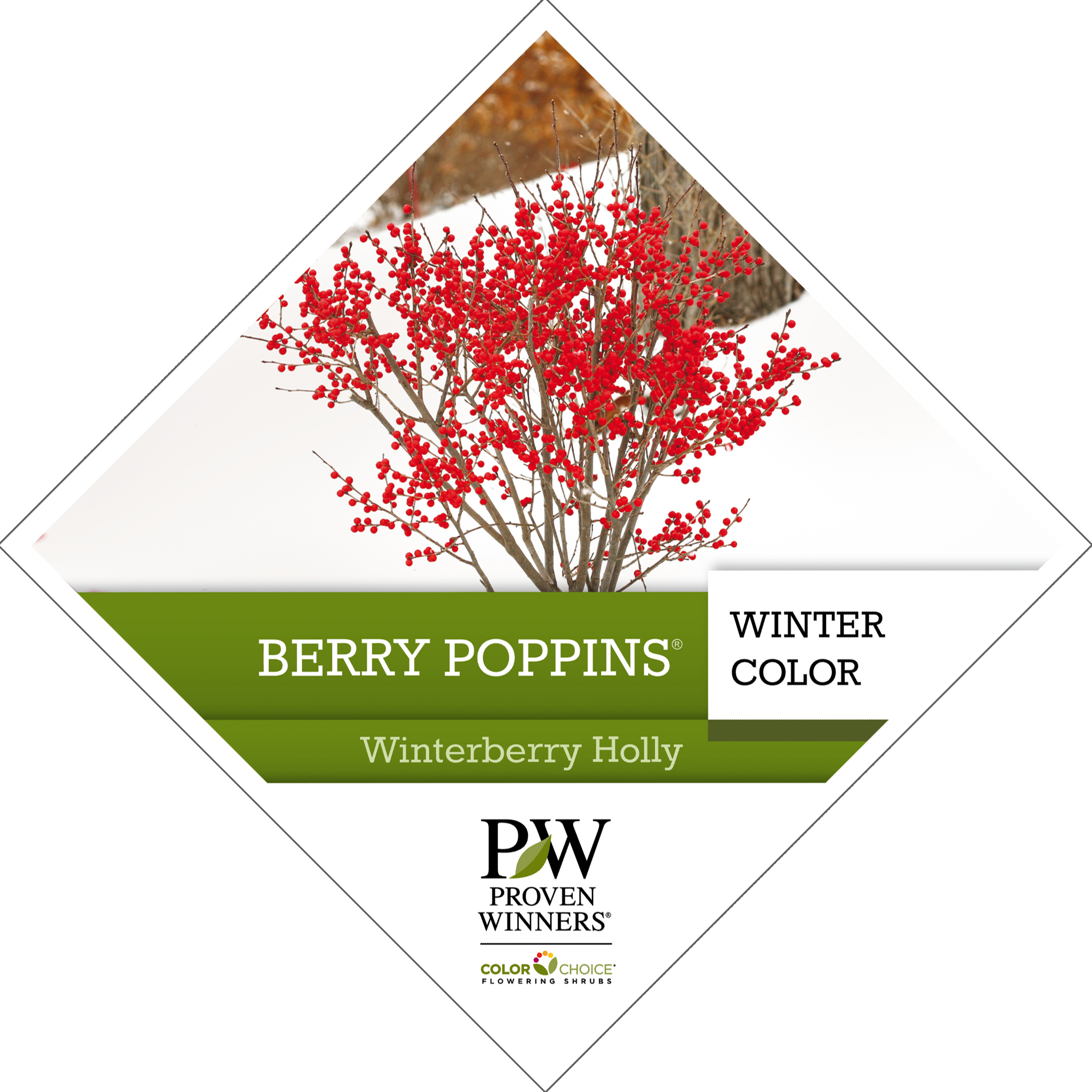 Preview of Berry Poppins® Ilex Tag PDF