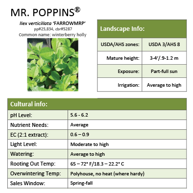 Preview of Mr. Poppins® Ilex Grower Sheet PDF