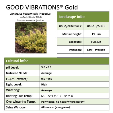 Preview of Good Vibrations® Gold Juniperus Grower Sheet PDF