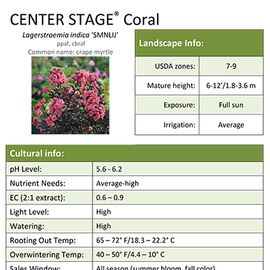 Preview of Center Stage™ Coral Lagerstroemia Grower Sheet PDF