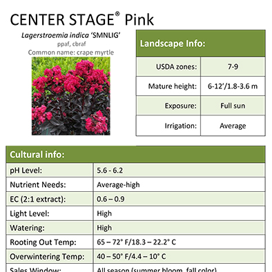 Preview of Center Stage™ Pink Lagerstroemia Grower Sheet PDF