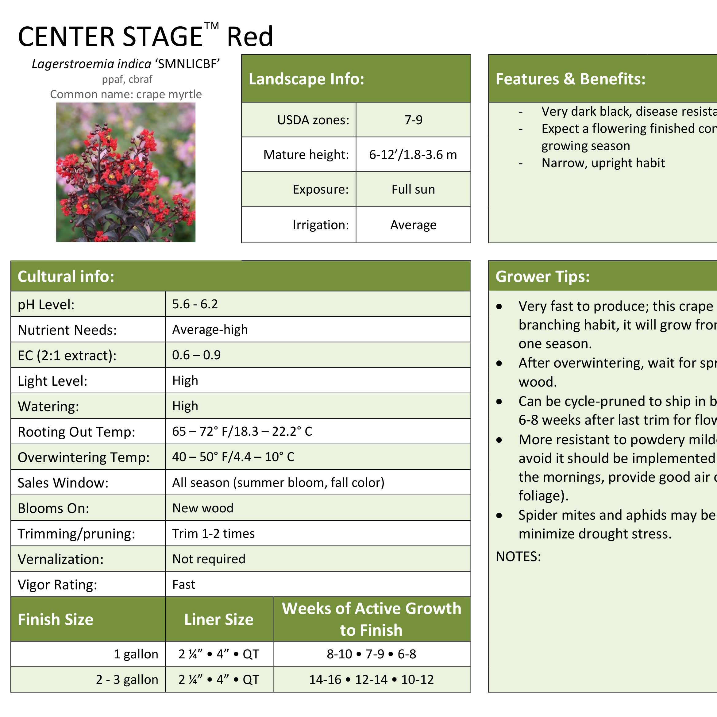 Preview of Center Stage™ Red Lagerstroemia Professional Grower Sheet PDF