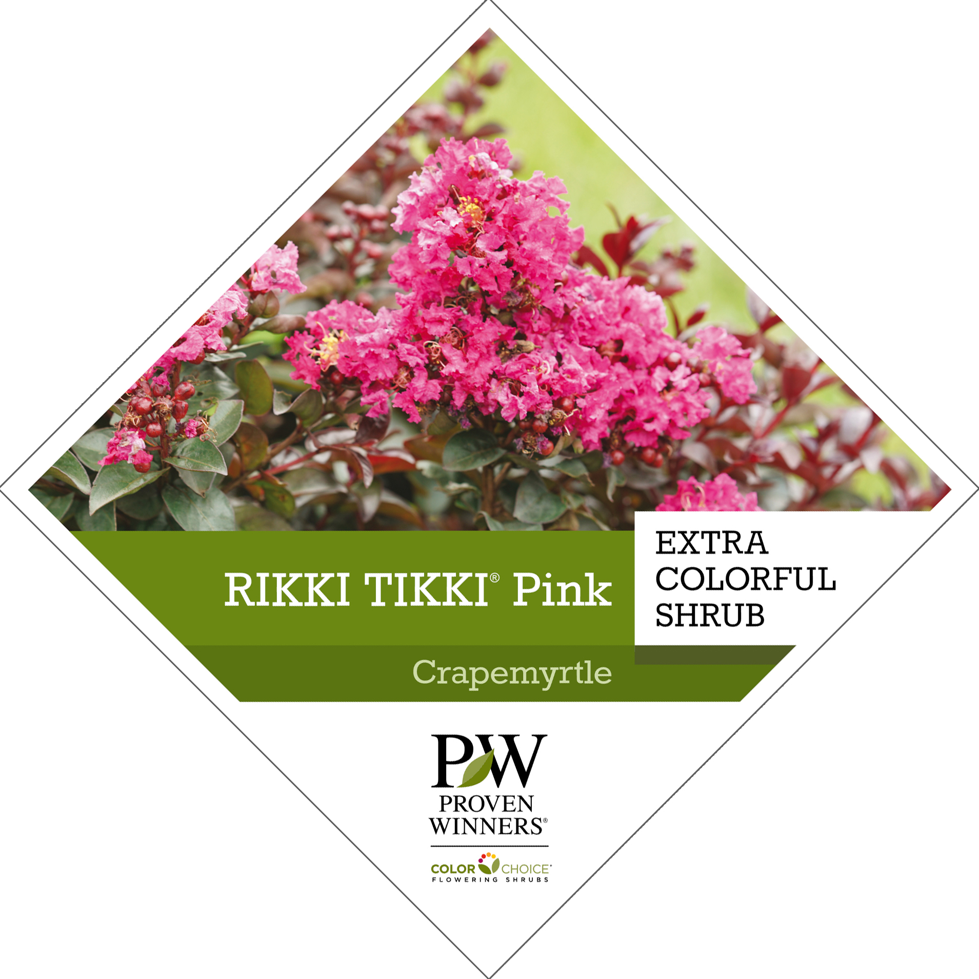 Preview of Rikki Tikki® Pink Lagerstroemia Tag PDF