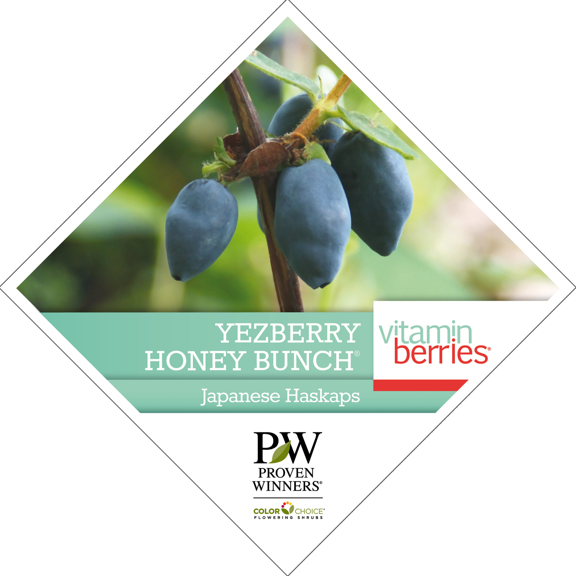 Preview of Yezberry Honey Bunch® Lonicera Tag PDF