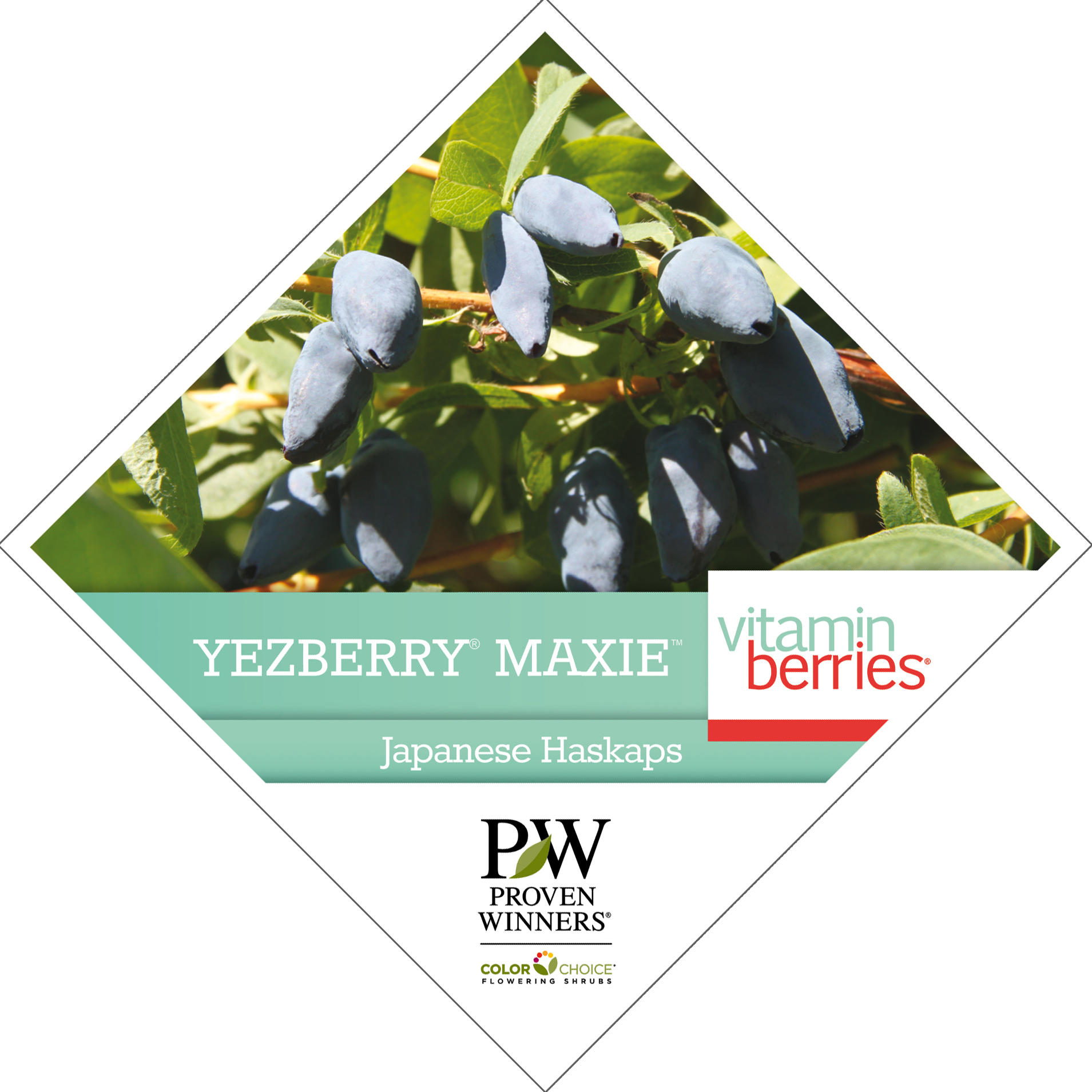 Preview of Yezberry® Maxie™ Lonicera Tag PDF