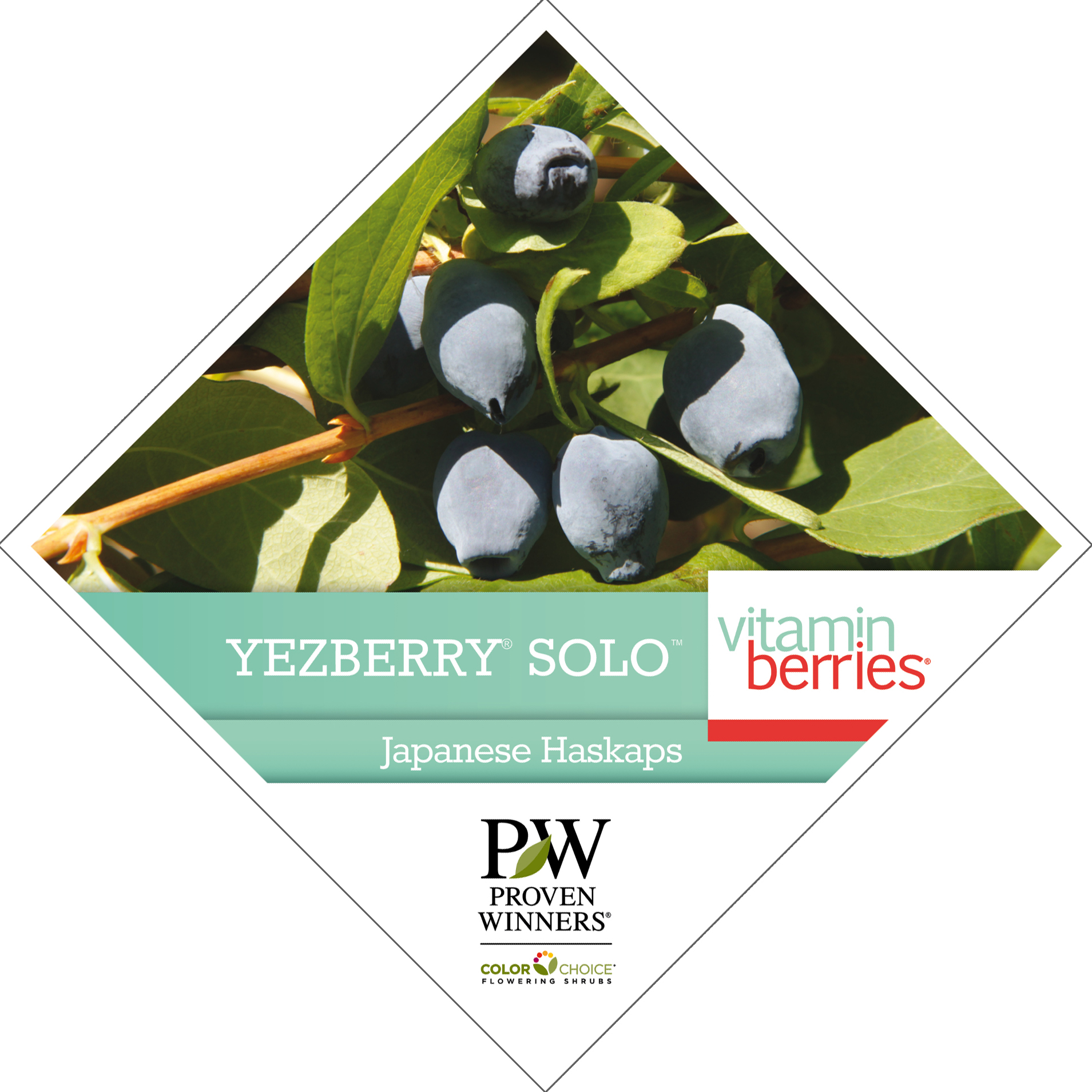 Preview of Yezberry® Solo™ Lonicera Tag PDF