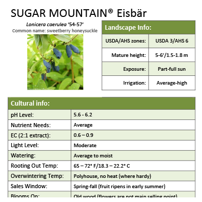 Preview of Sugar Mountain® Eisbär Grower Sheet PDF