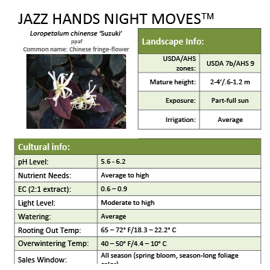 Preview of Jazz Hands Night Moves® Loropetalum Grower Sheet PDF
