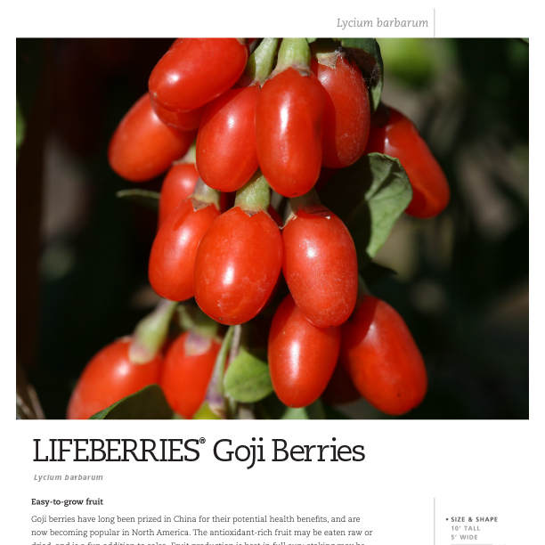 Preview of Lifeberry® Lycium Series Spec Sheet PDF