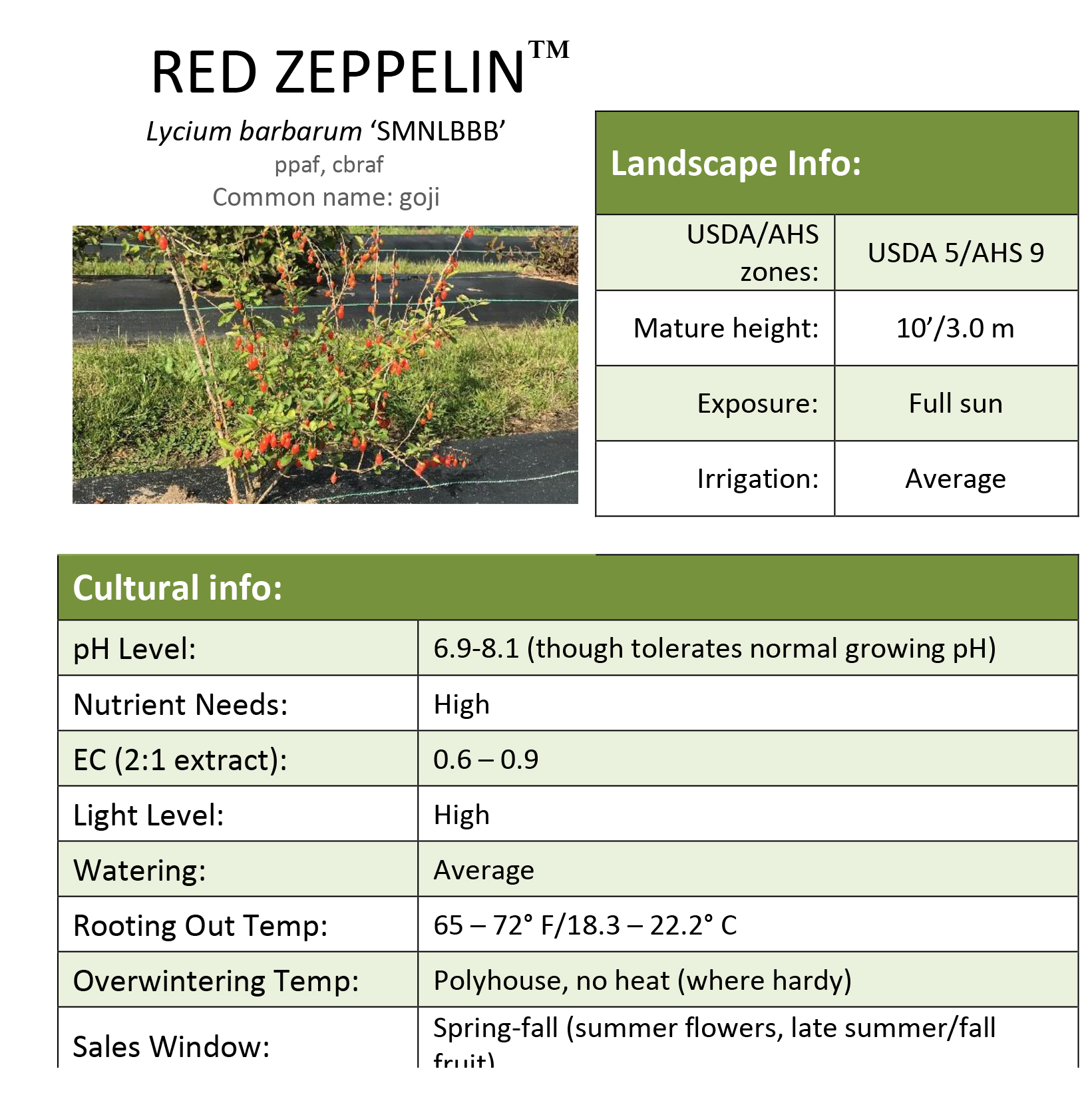 Preview of Red Zeppelin® Lycium Grower Sheet PDF