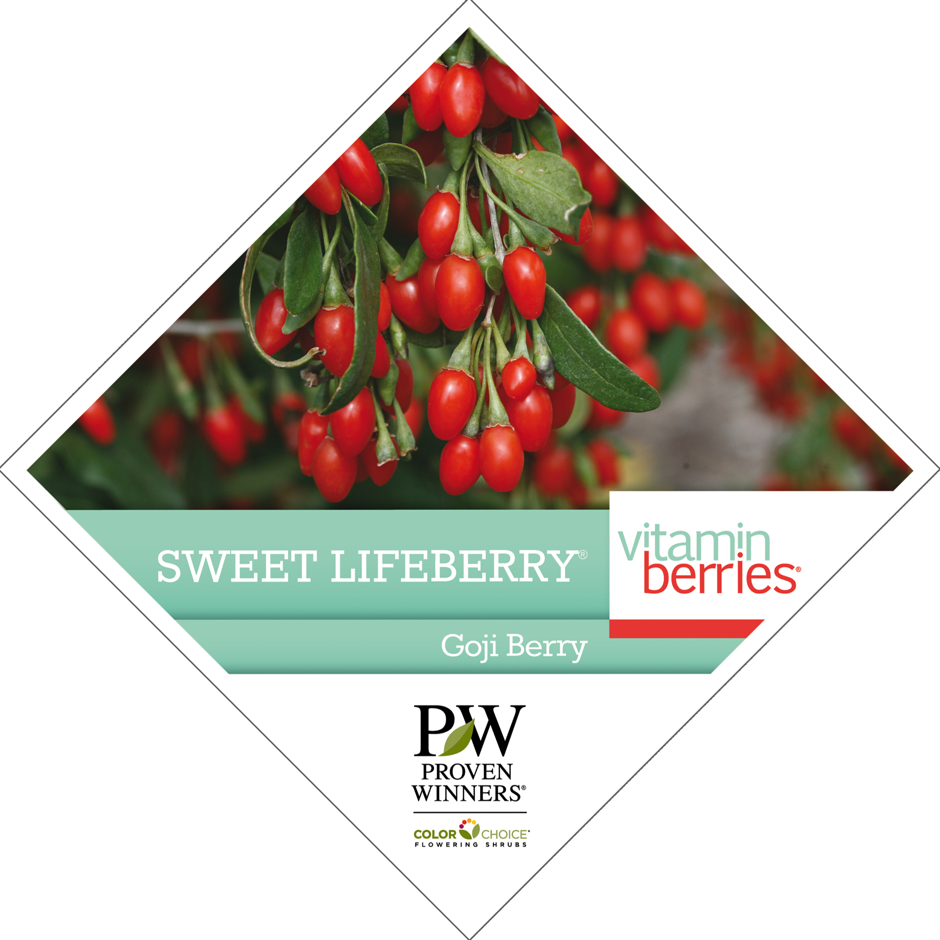 Preview of Sweet Lifeberry® Lycium Tag PDF