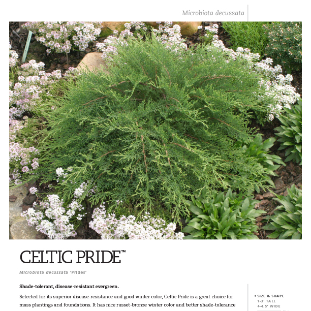 Preview of Celtic Pride® Microbiota Spec Sheet PDF